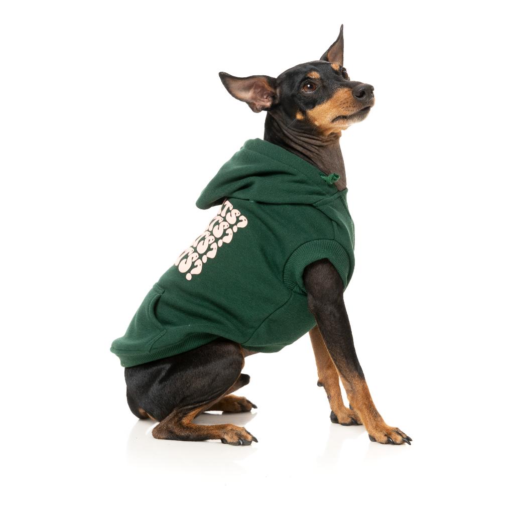 Sweat à capuche Treats Vert