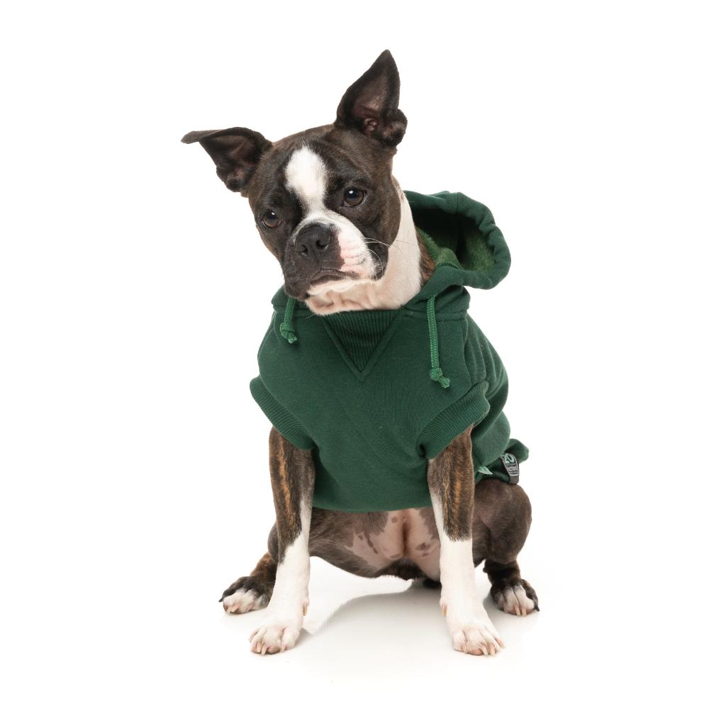 Sweat à capuche Treats Vert