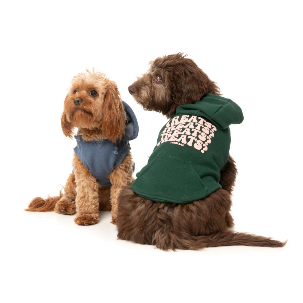 Sweat à capuche Treats Vert
