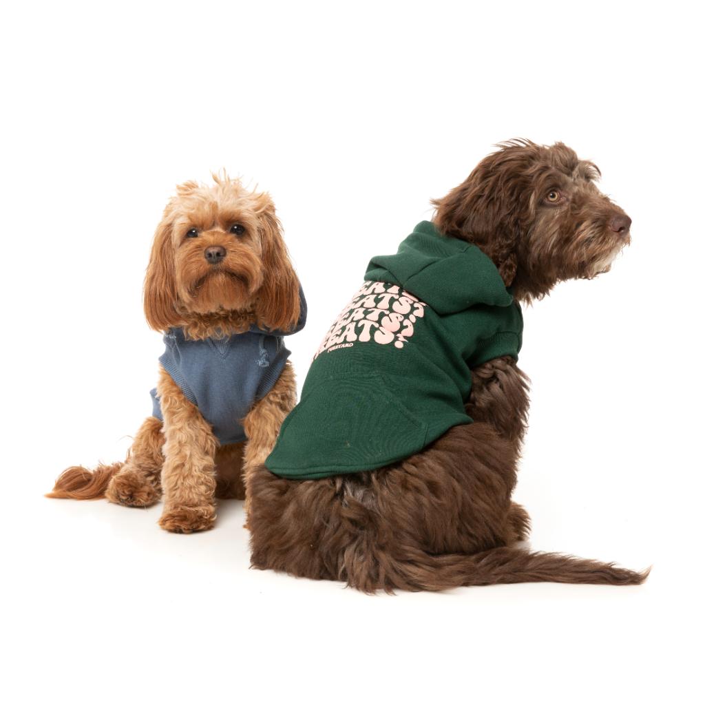 Sweat à capuche Treats Vert