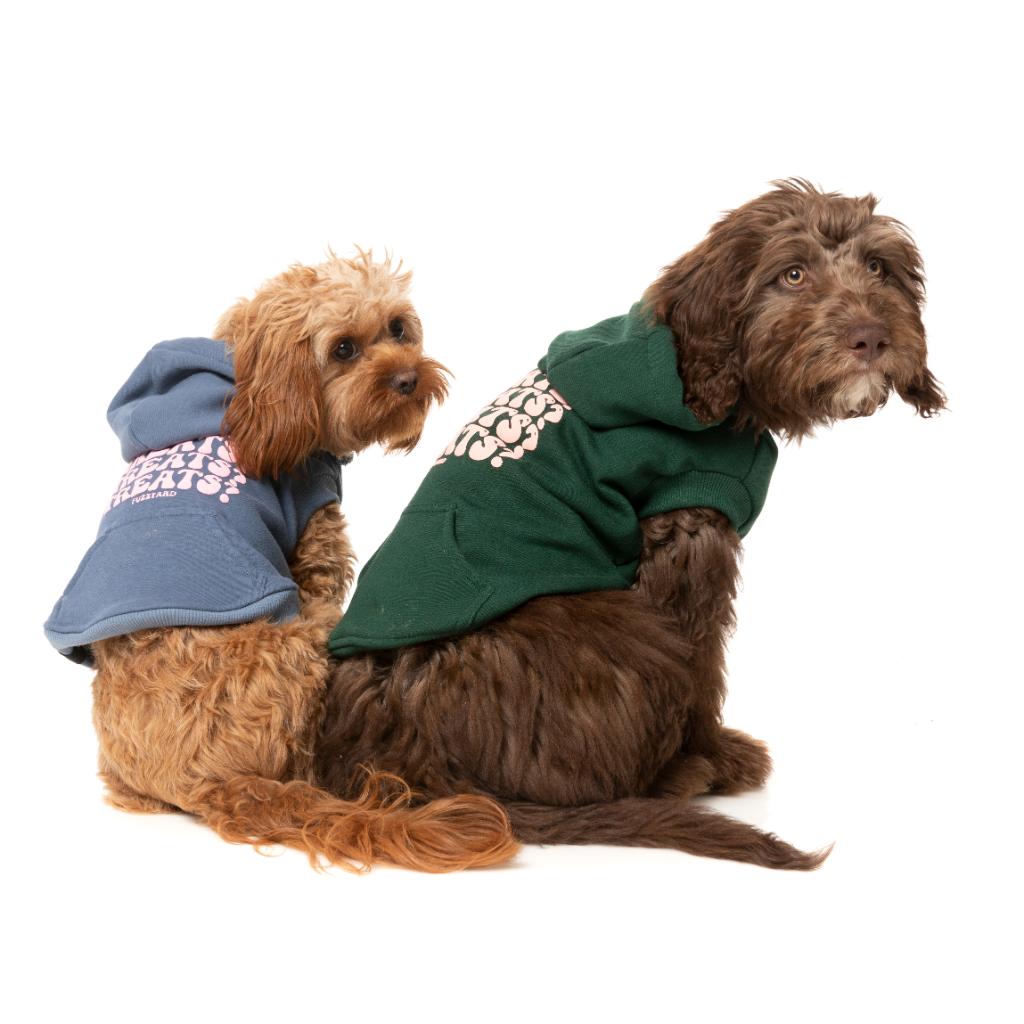 Sweat à capuche Treats Vert