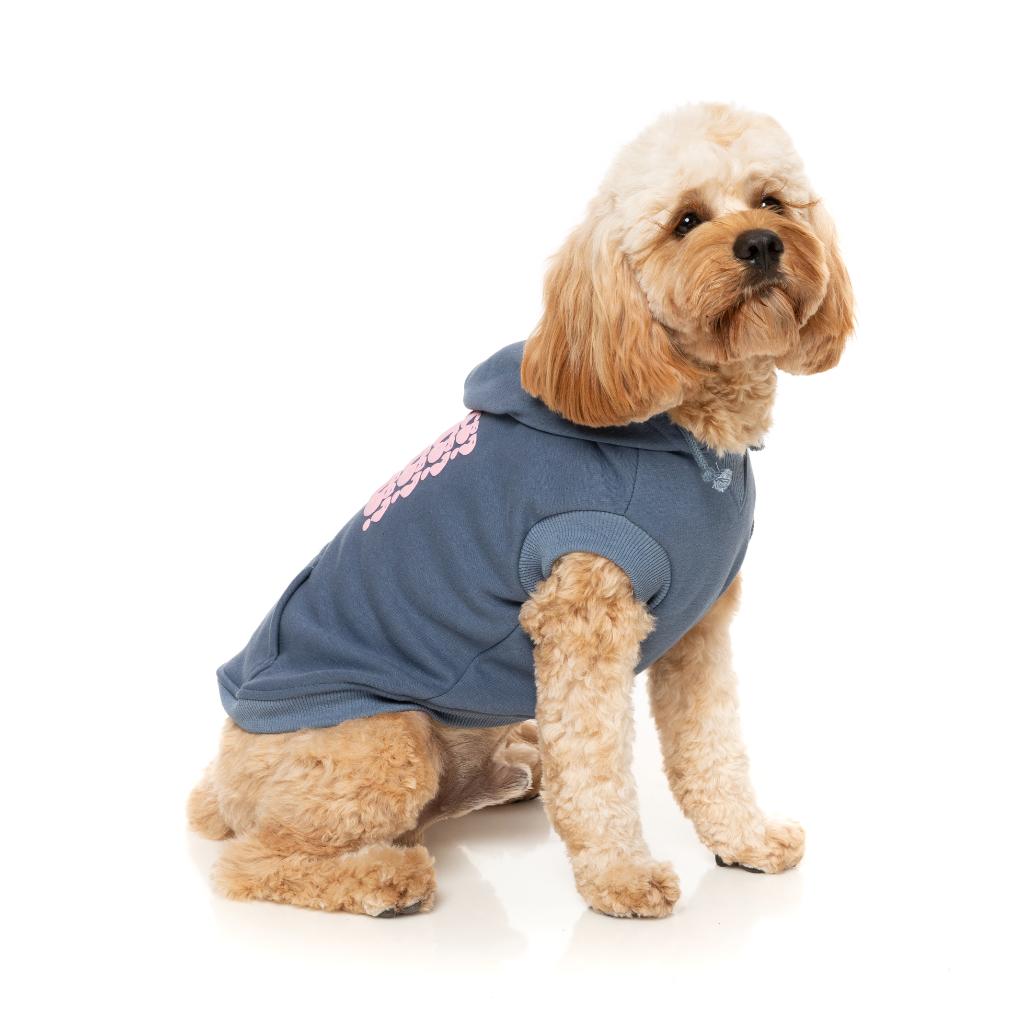 Sweat à capuche Treats Bleu