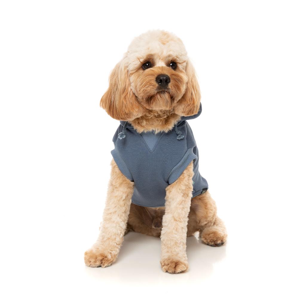Sweat à capuche Treats Bleu