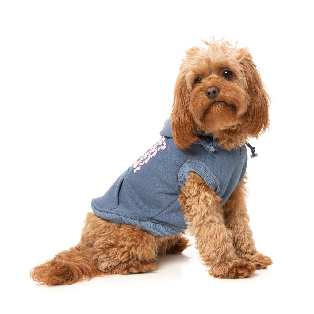 Sweat à capuche Treats Bleu