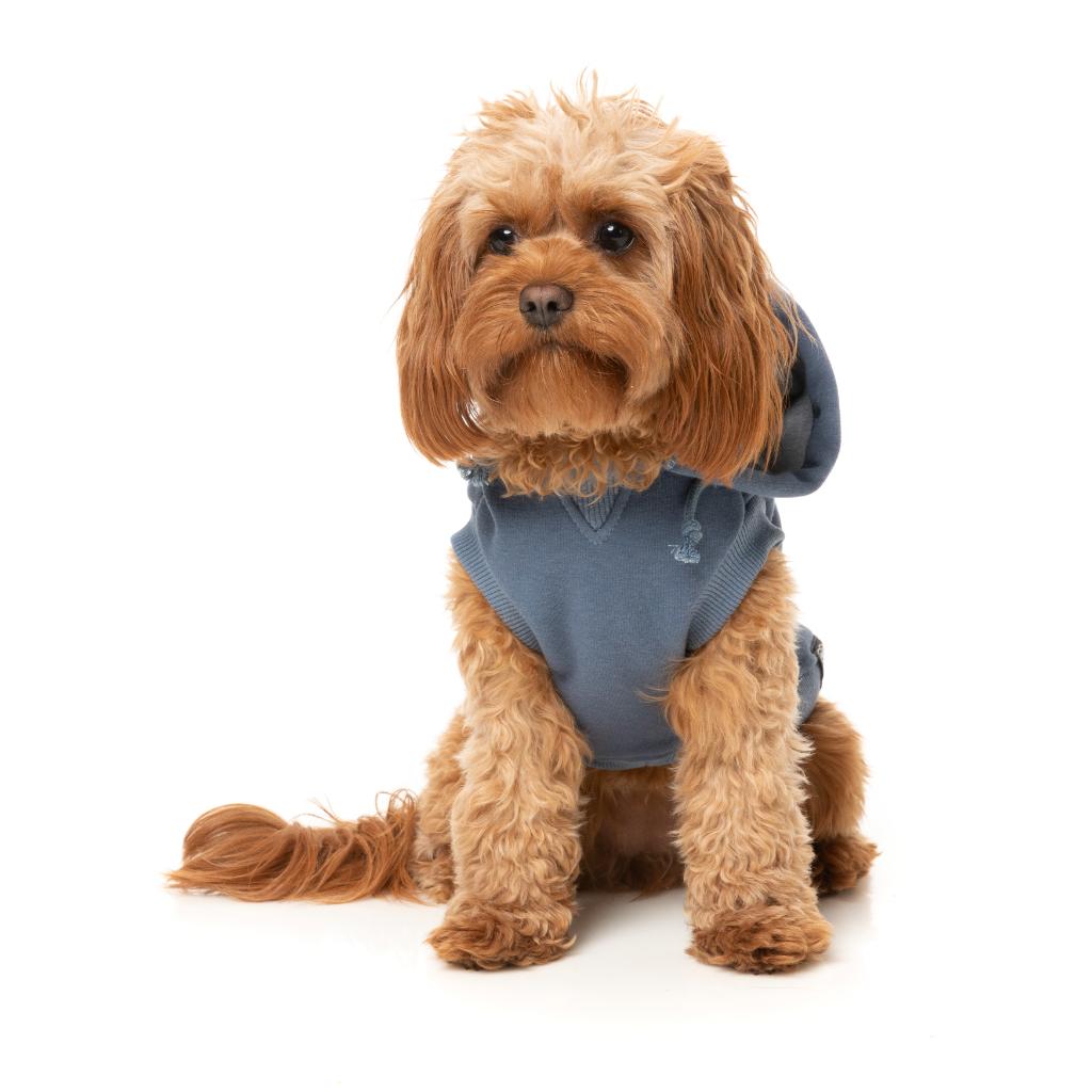 Sweat à capuche Treats Bleu