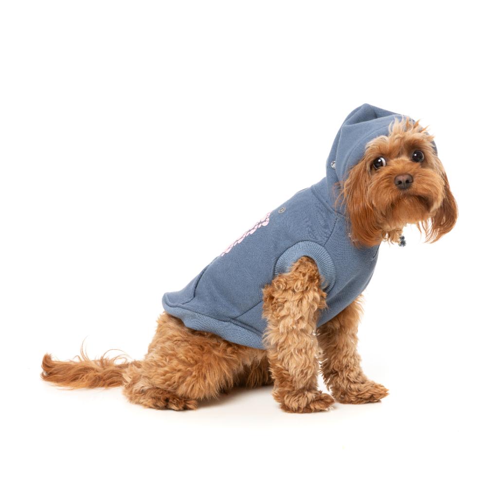 Sweat à capuche Treats Bleu