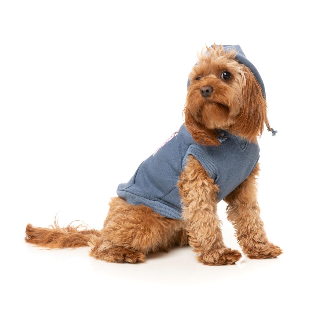 Sweat à capuche Treats Bleu