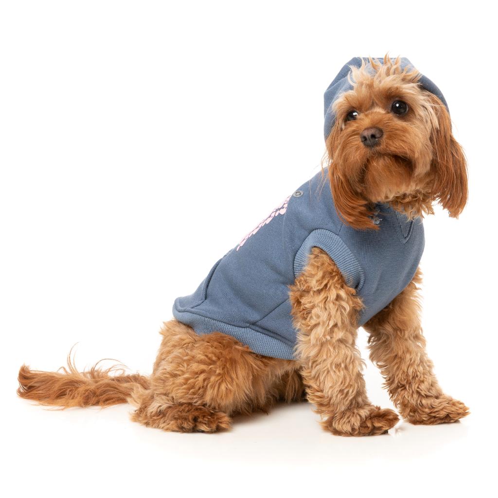Sweat à capuche Treats Bleu