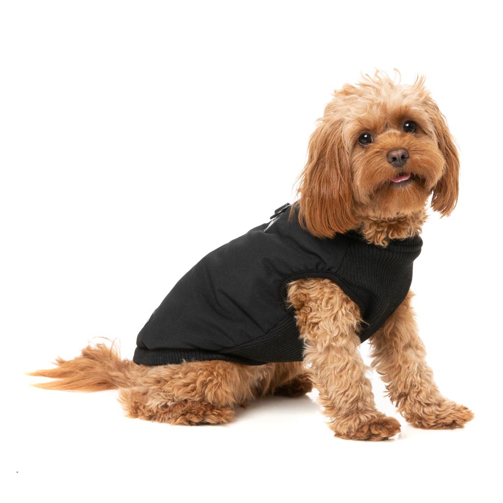 Veste East Macgyver Noir
