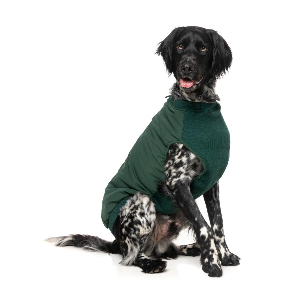Veste East Macgyver Vert