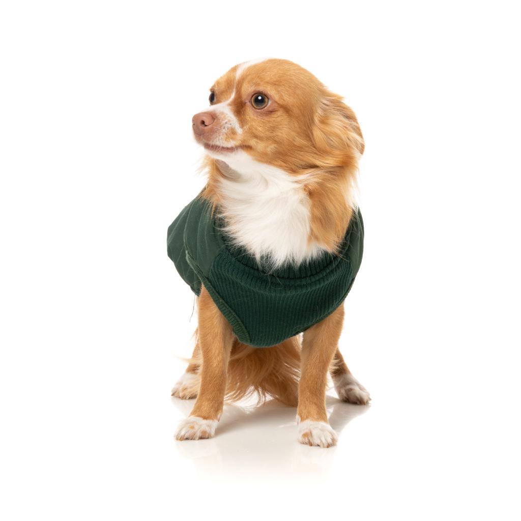 Veste East Macgyver Vert