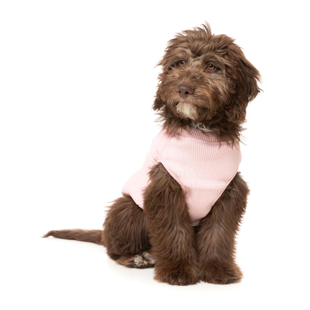 Veste East Macgyver Rose