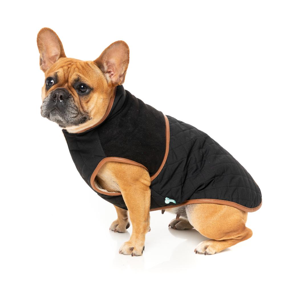 Veste Ivanhoe Noir