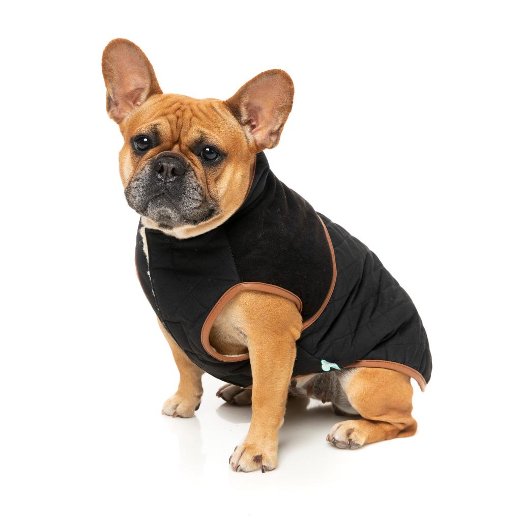 Veste Ivanhoe Noir