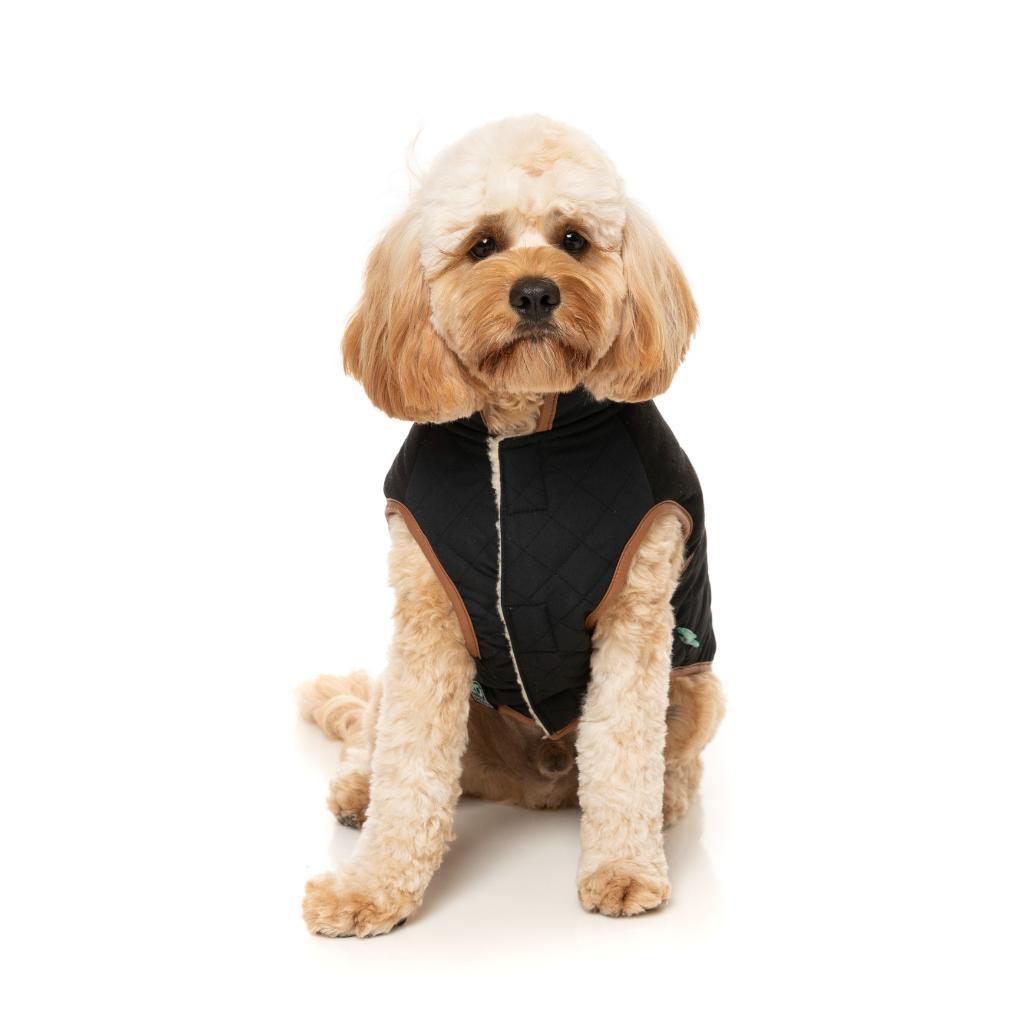Veste Ivanhoe Noir