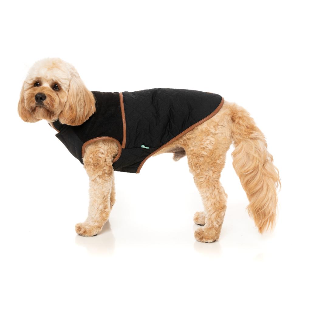 Veste Ivanhoe Noir