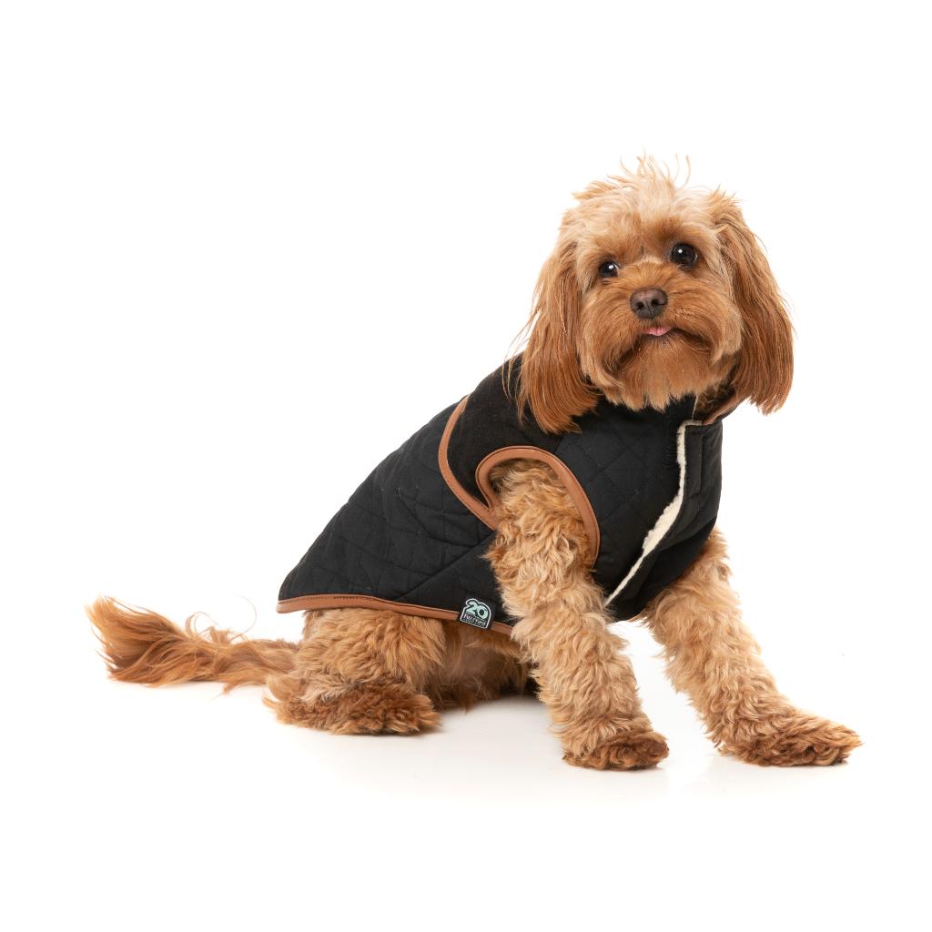 Veste Ivanhoe Noir