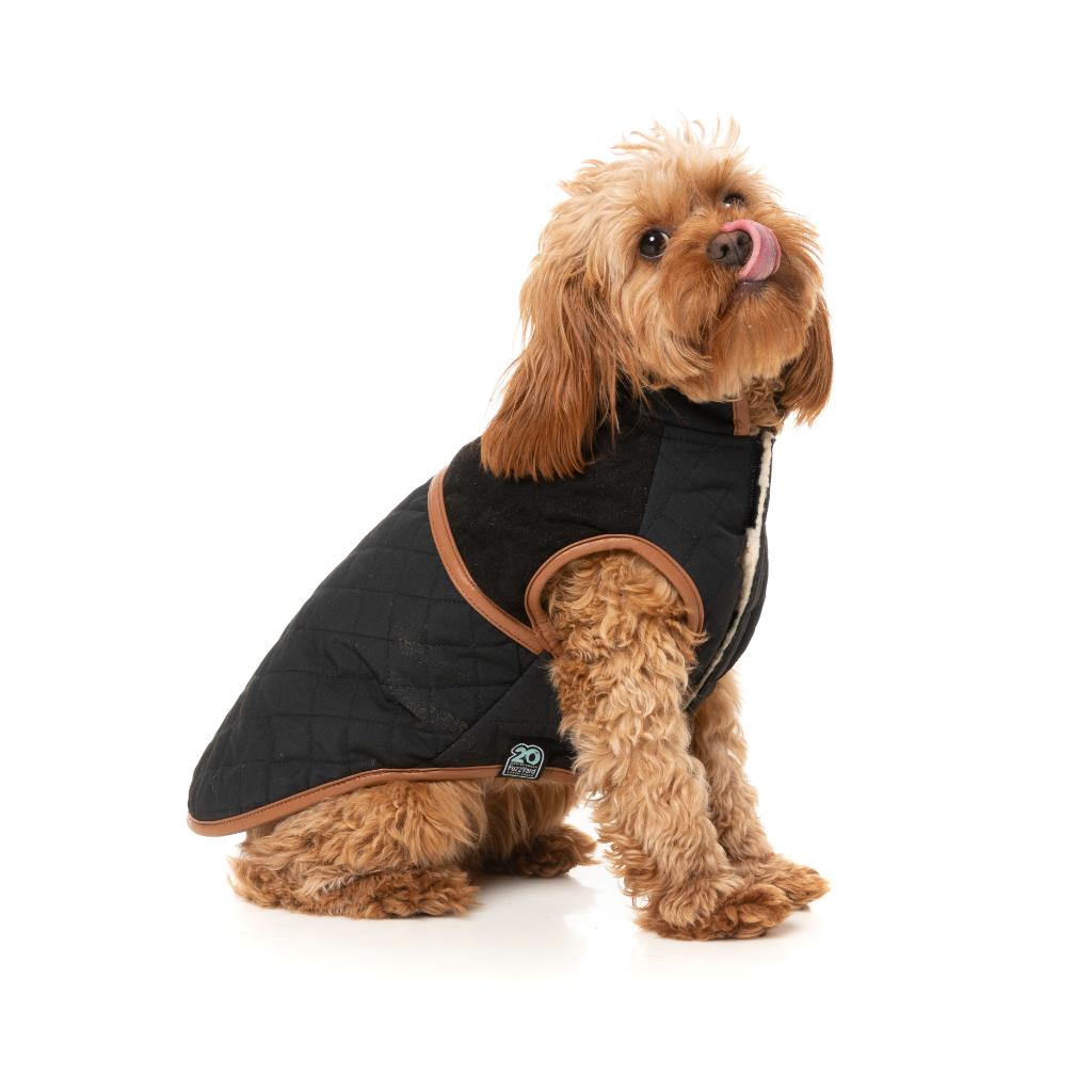 Veste Ivanhoe Noir
