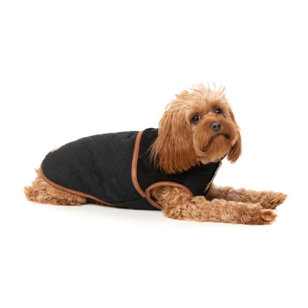 Veste Ivanhoe Noir
