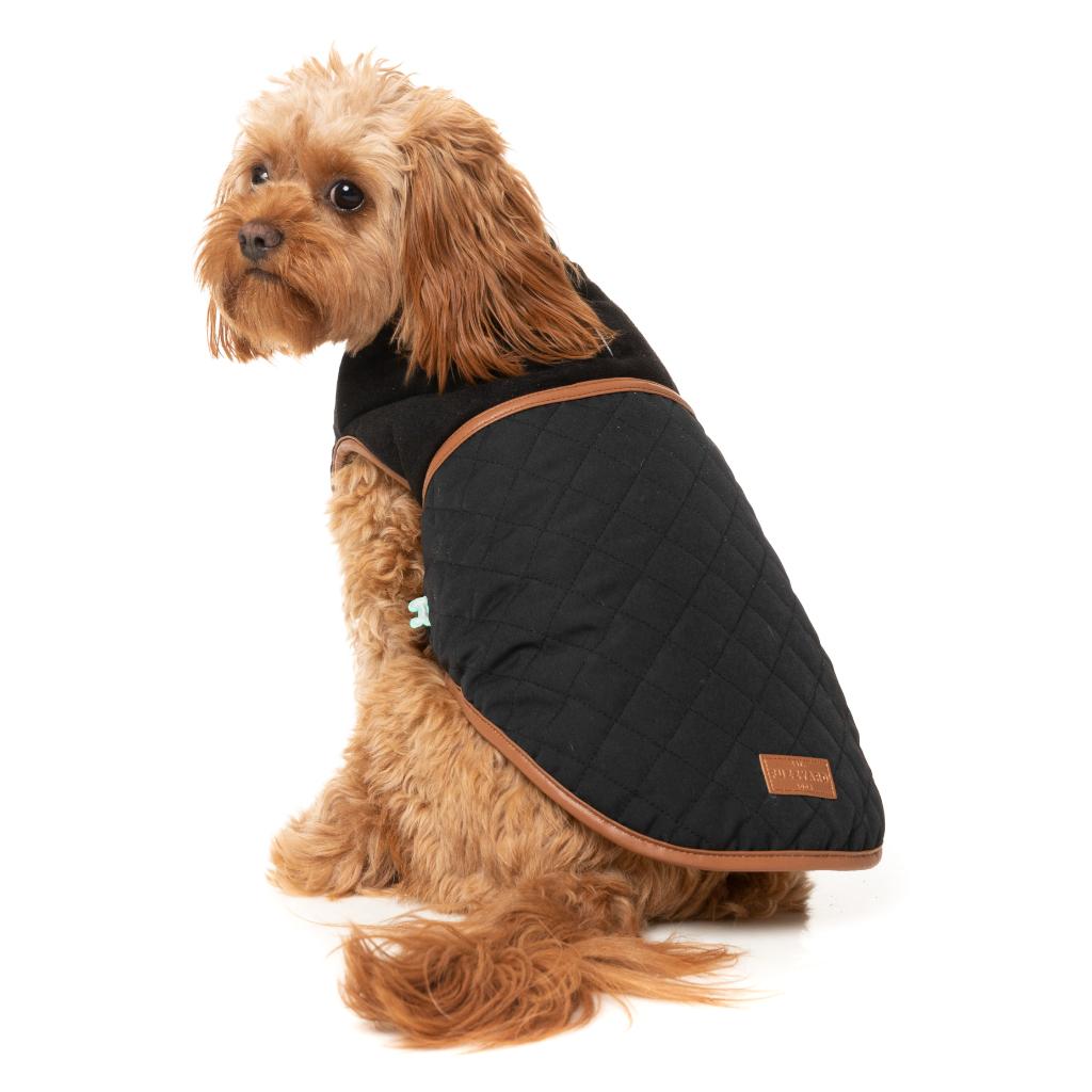 Veste Ivanhoe Noir