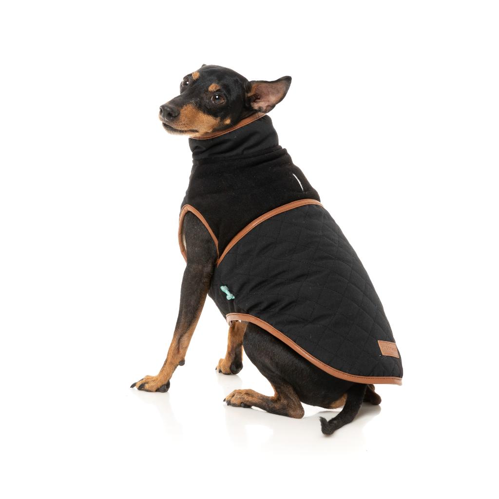 Veste Ivanhoe Noir