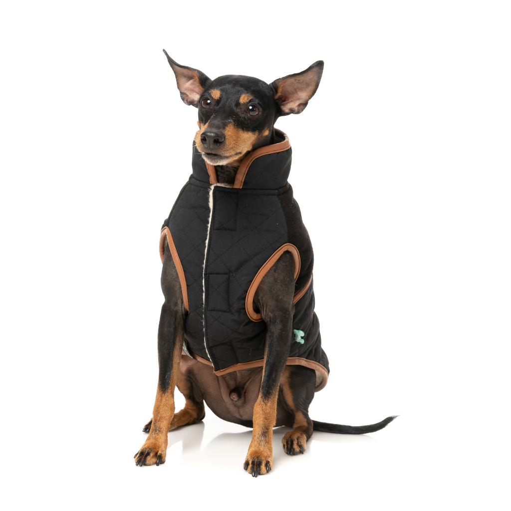 Veste Ivanhoe Noir