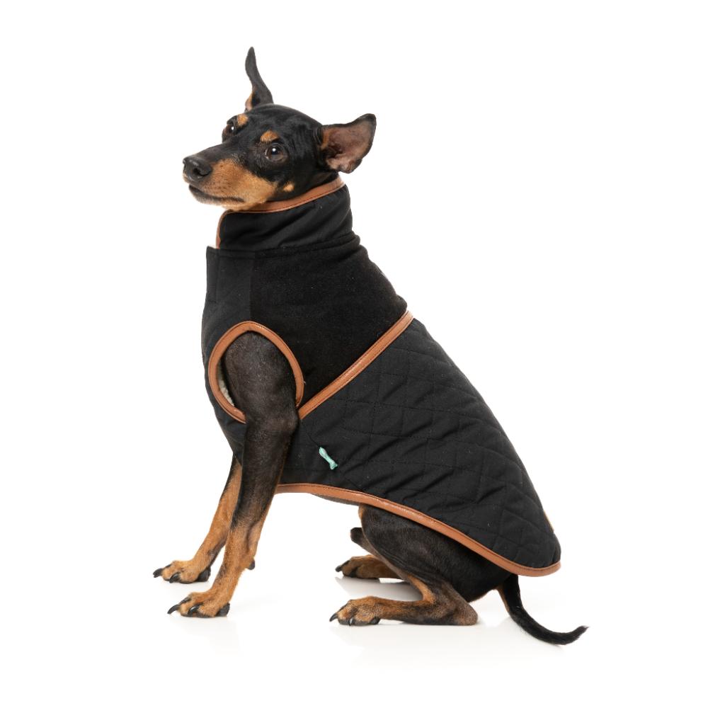 Veste Ivanhoe Noir