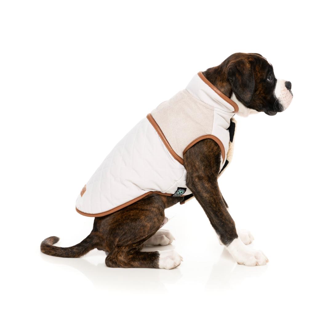 Veste Ivanhoe Ivoire