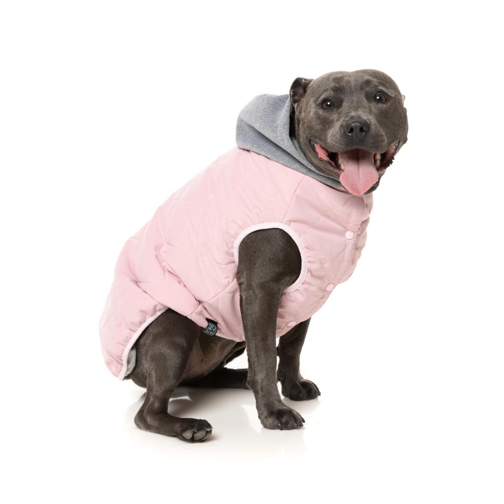 Sweat à capuche Cremorne Rose