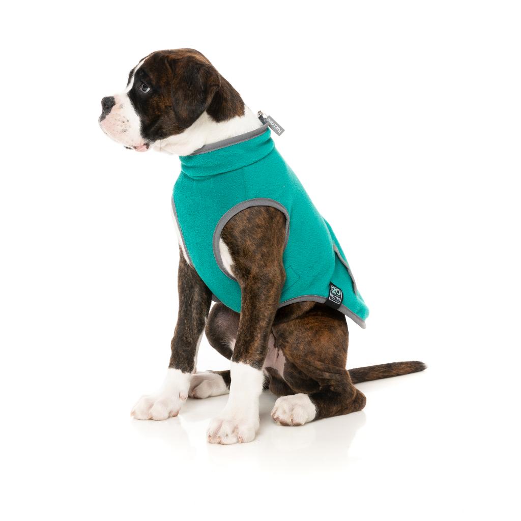 Veste Fitzroy Vert