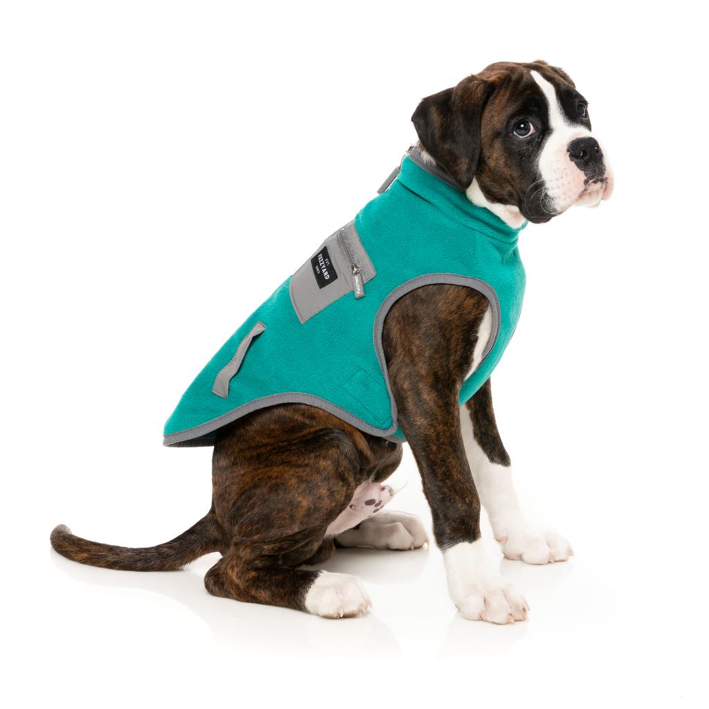 Veste Fitzroy Vert