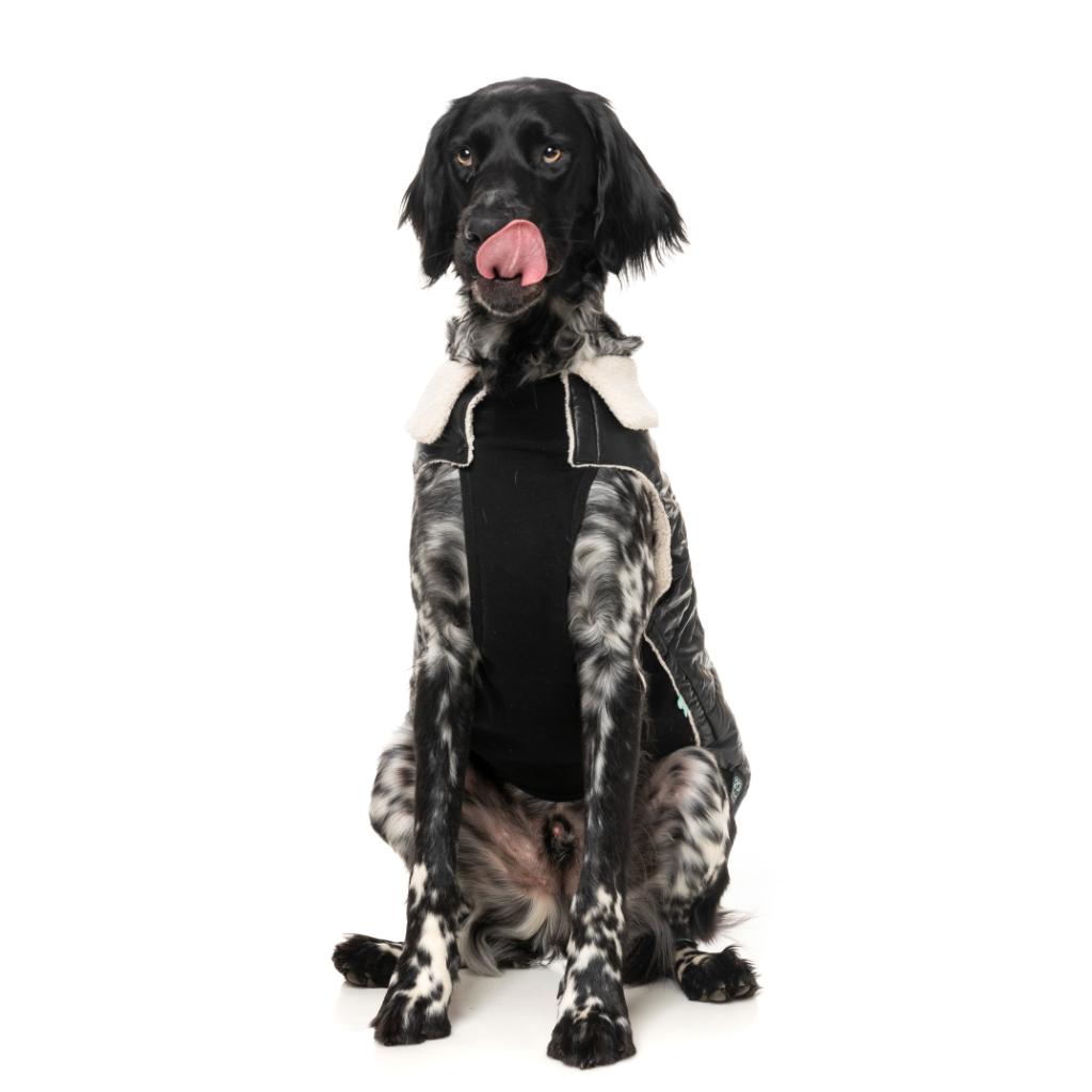 Veste Sébastien Noir