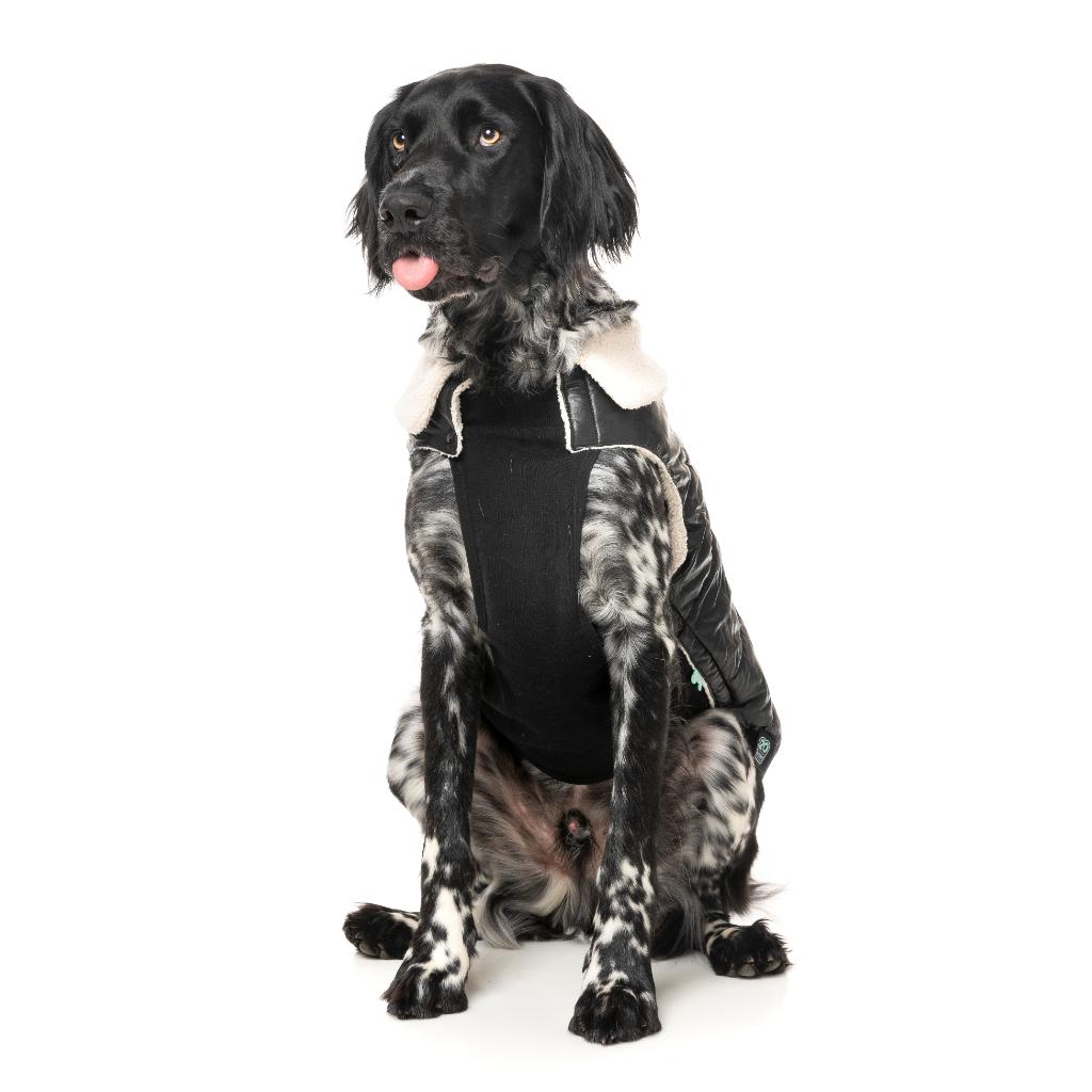 Veste Sébastien Noir