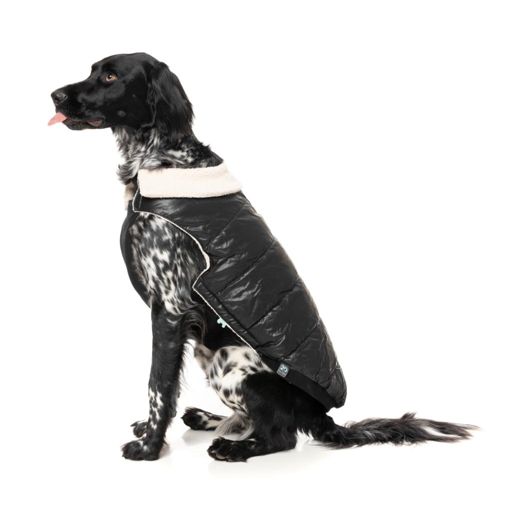 Veste Sébastien Noir