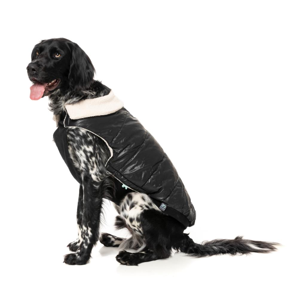 Veste Sébastien Noir