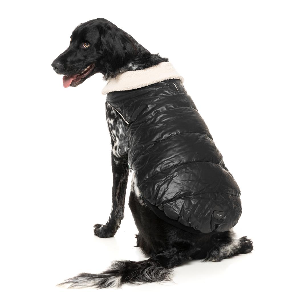 Veste Sébastien Noir