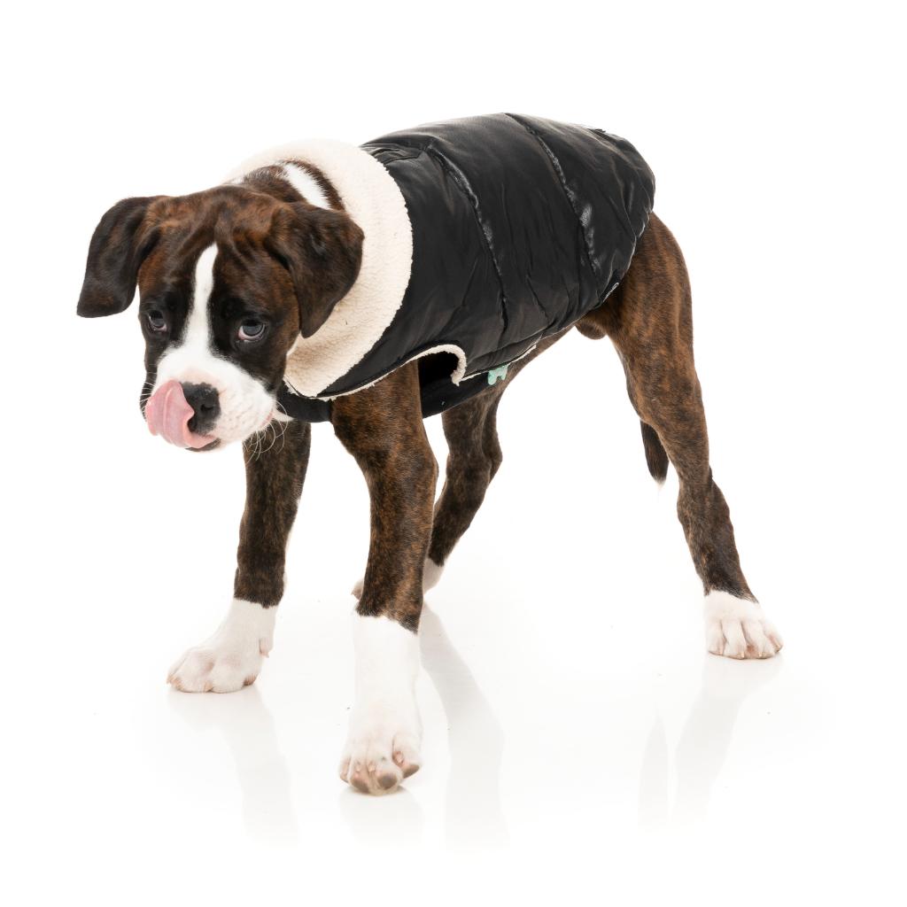 Veste Sébastien Noir