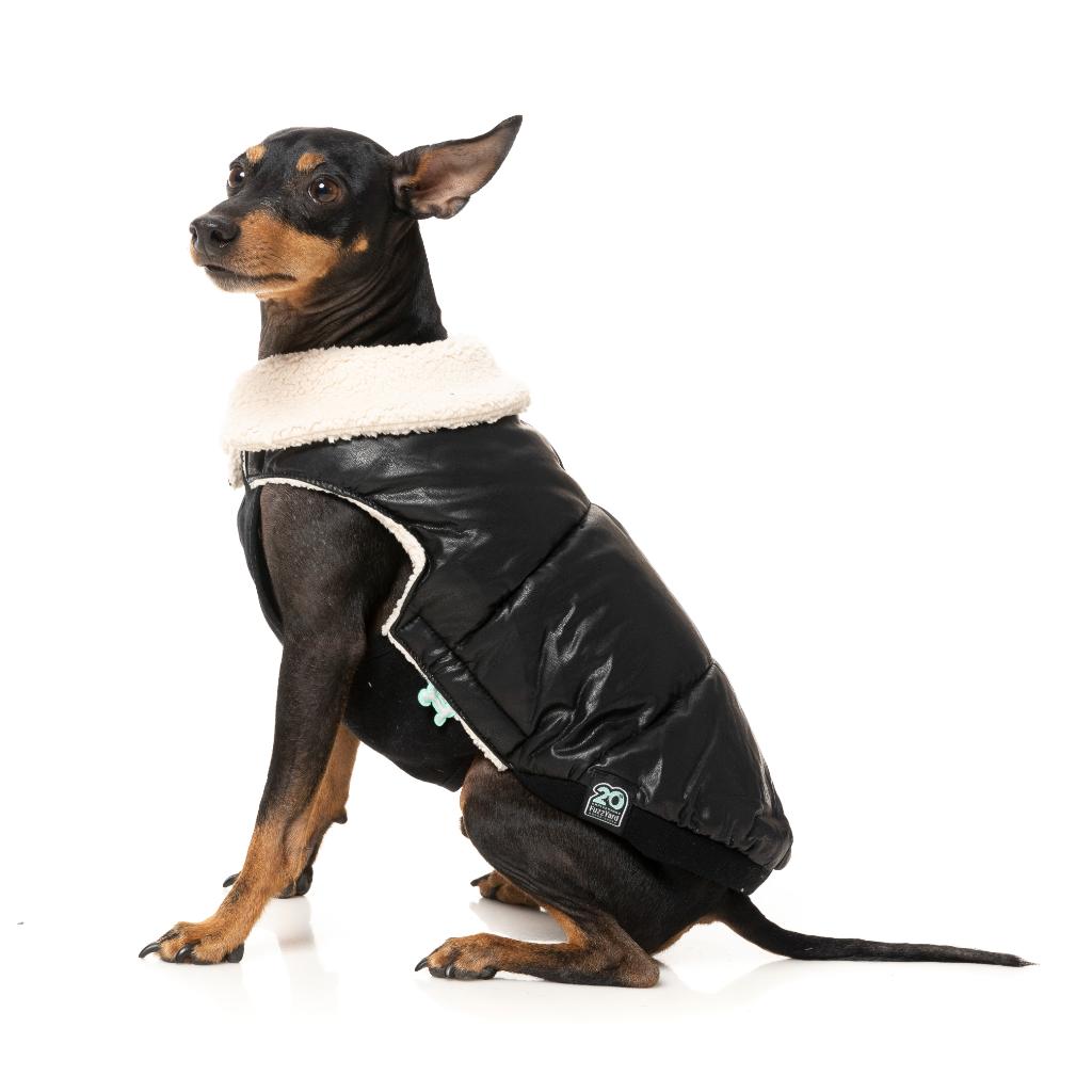 Veste Sébastien Noir