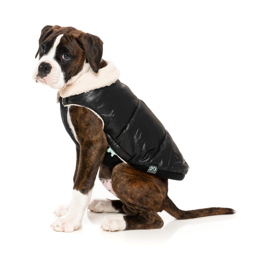 Veste Sébastien Noir