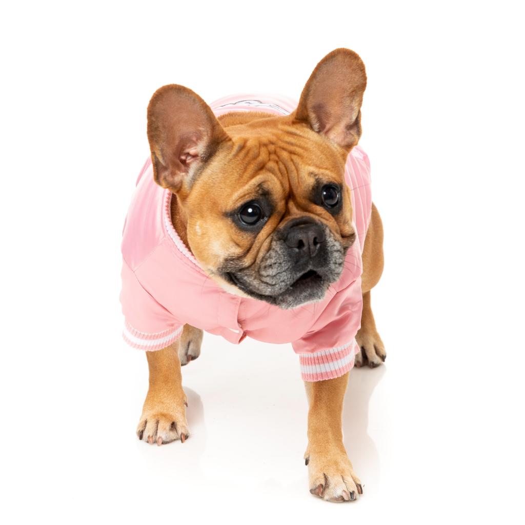 Veste Fastball Rose