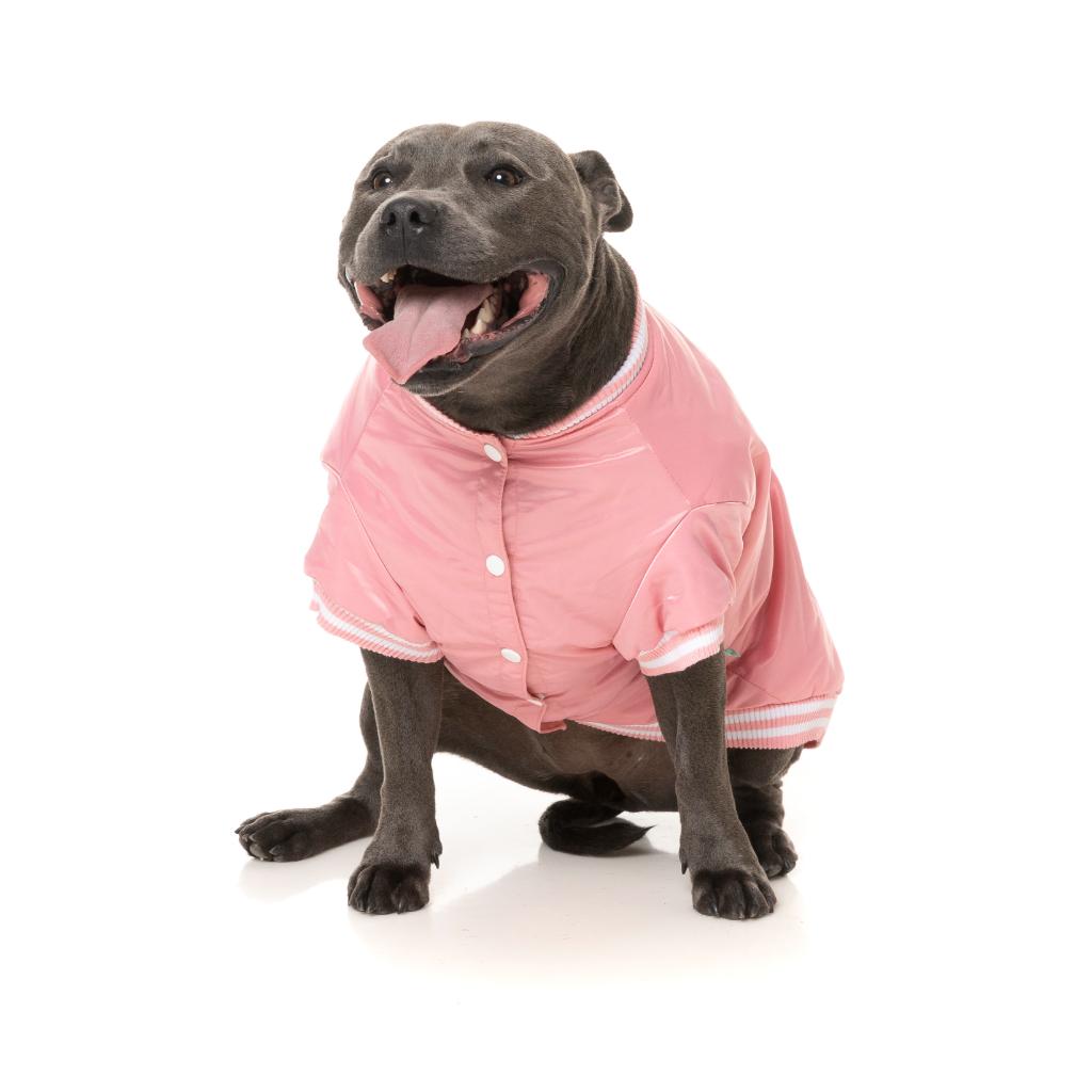 Veste Fastball Rose