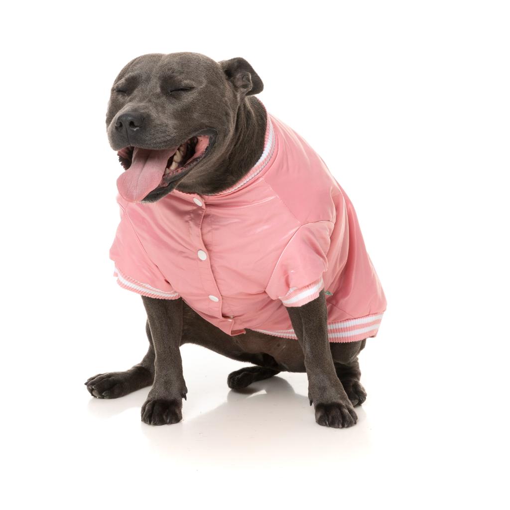 Veste Fastball Rose