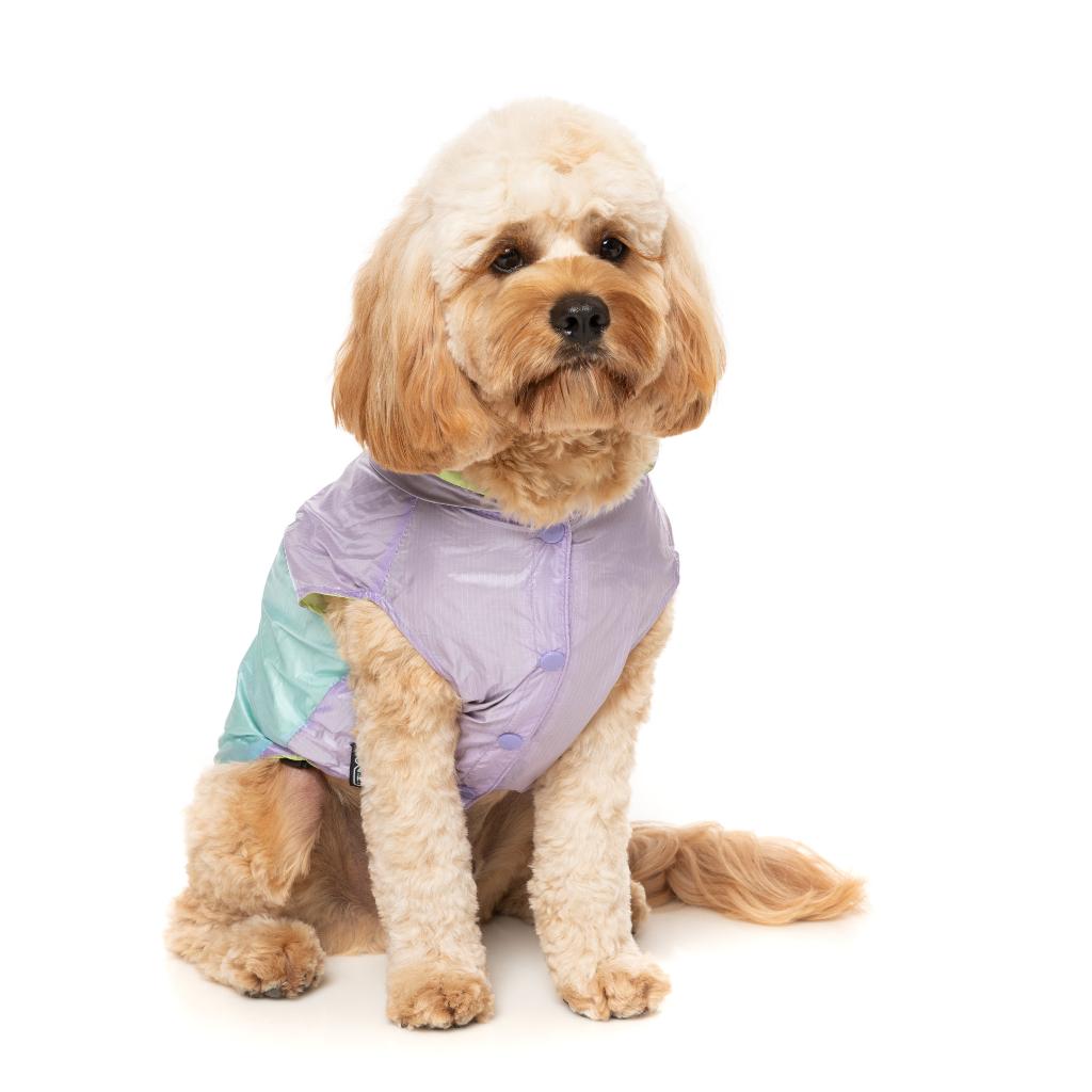 Imperméable Ormond Violet/Bleu