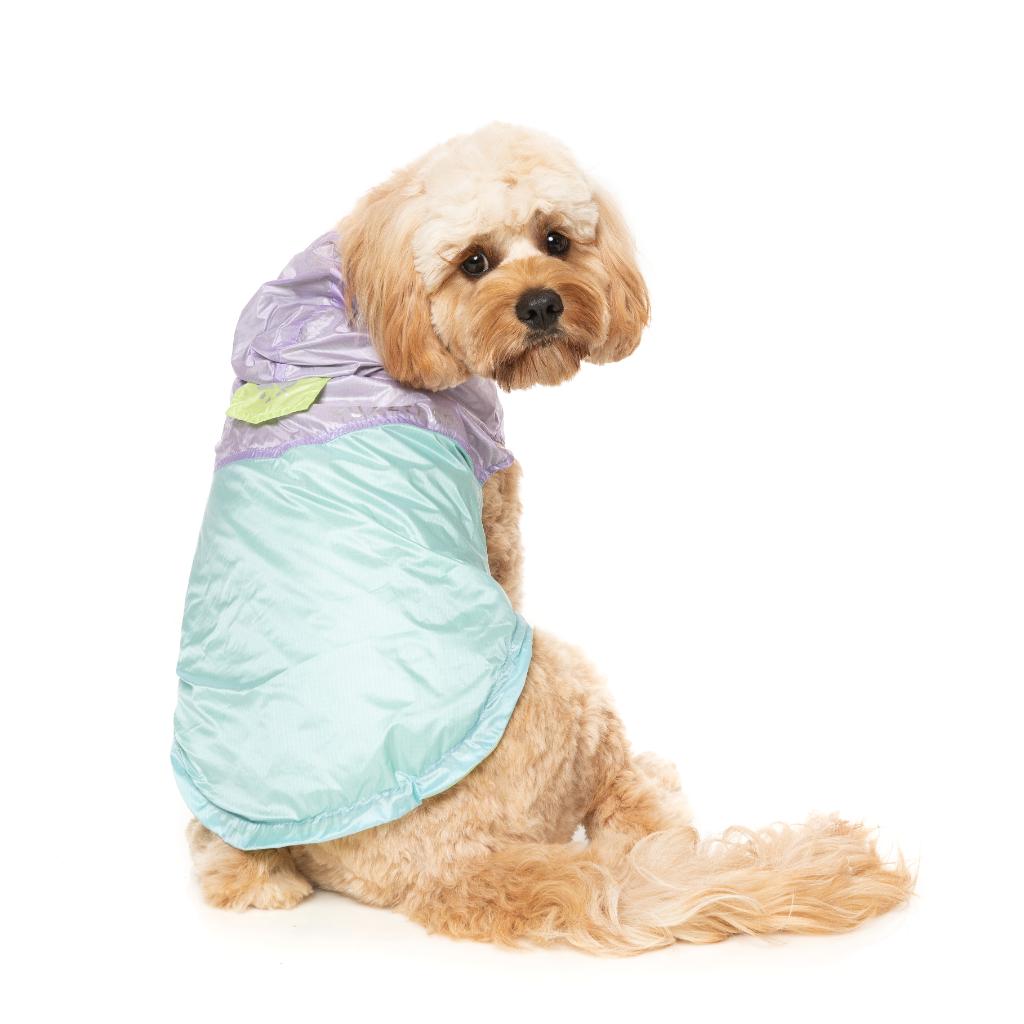 Imperméable Ormond Violet/Bleu