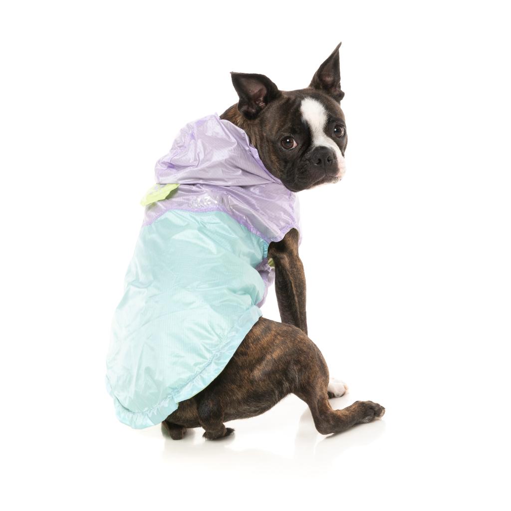 Imperméable Ormond Violet/Bleu