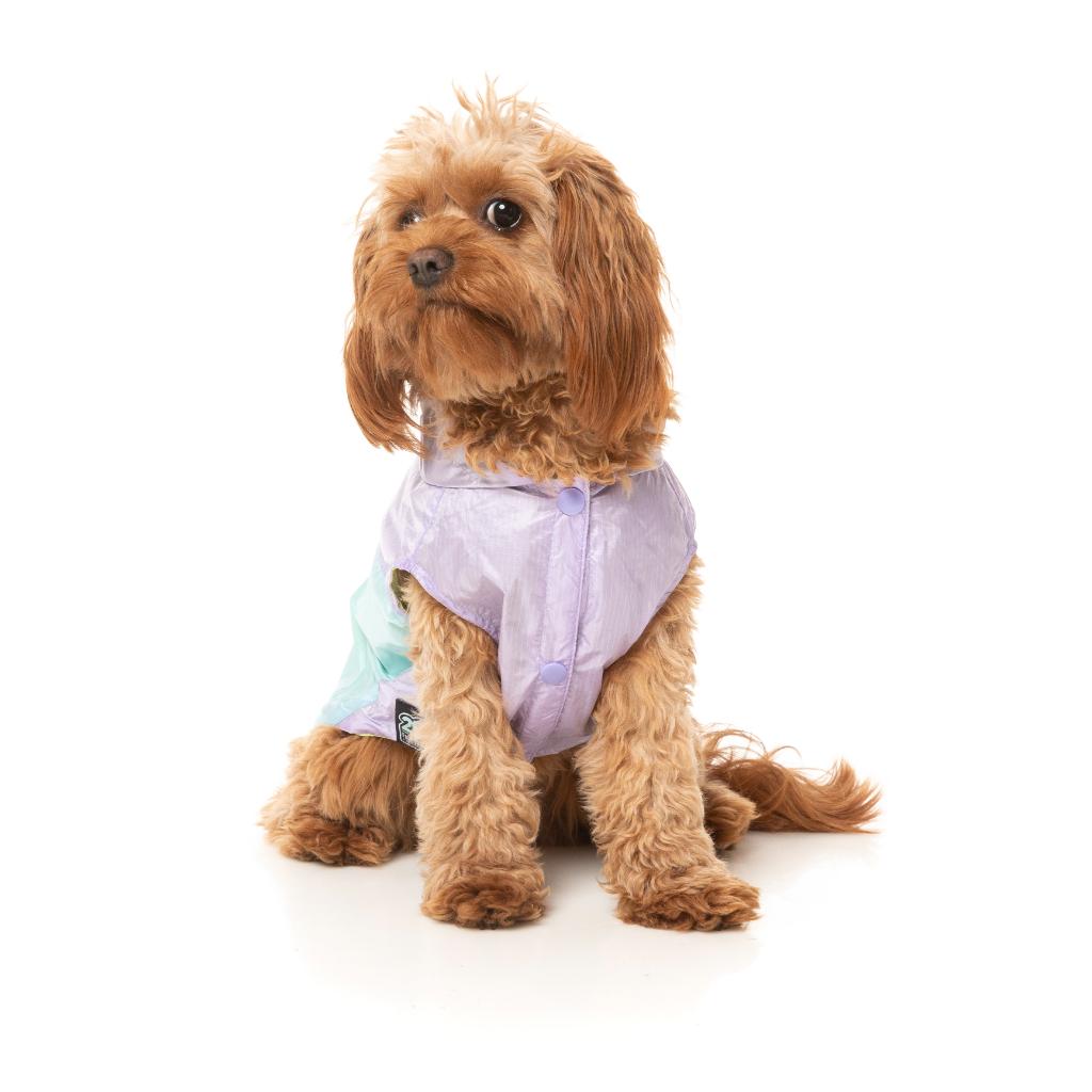 Imperméable Ormond Violet/Bleu