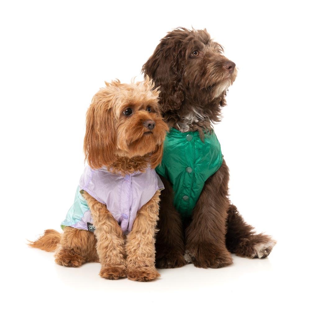 Imperméable Ormond Violet/Bleu