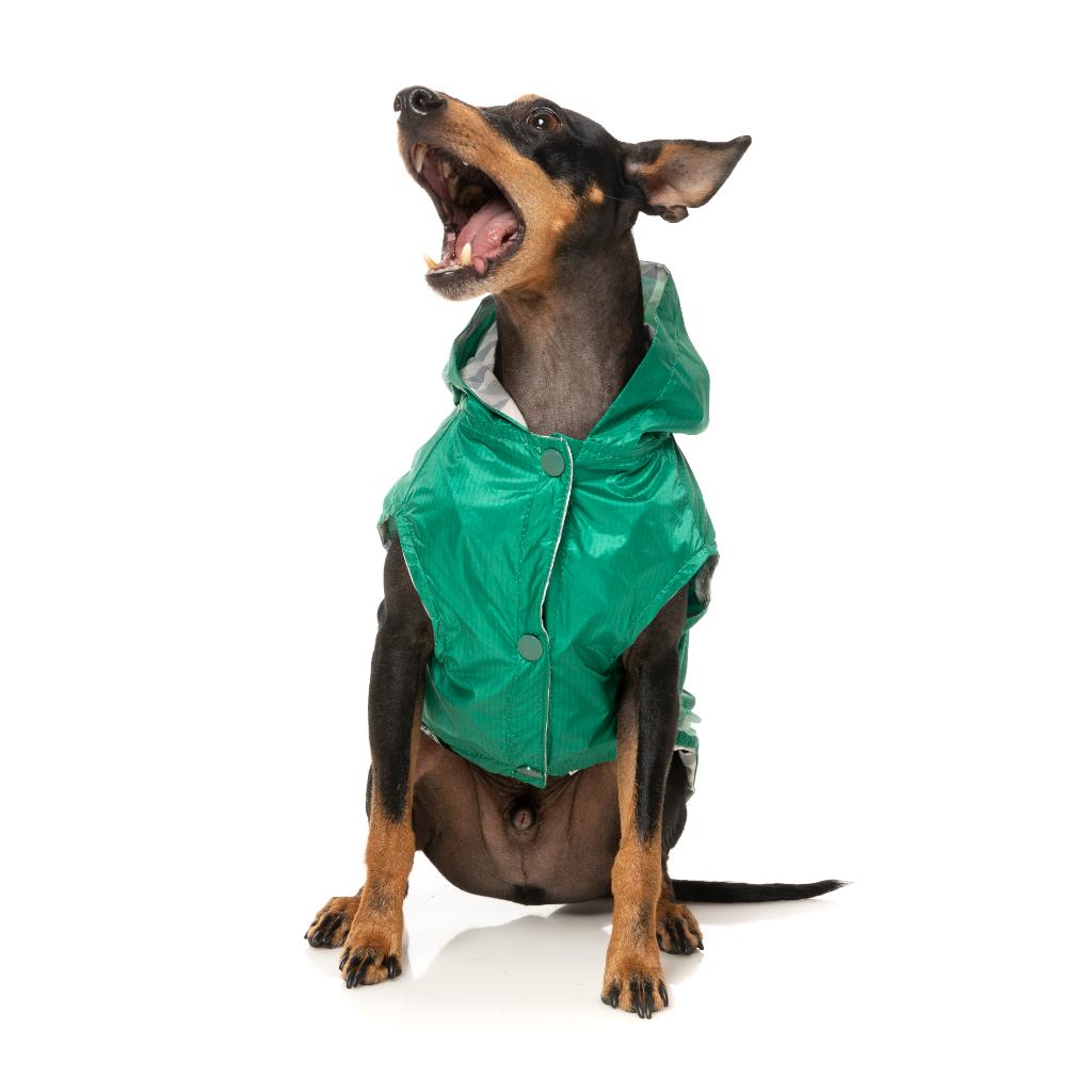 Imperméable Flipside Vert/Beige