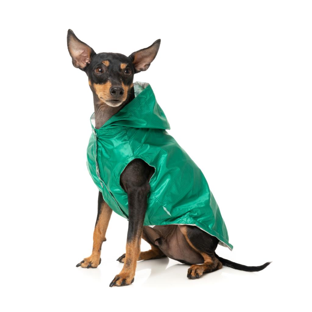 Imperméable Flipside Vert/Beige