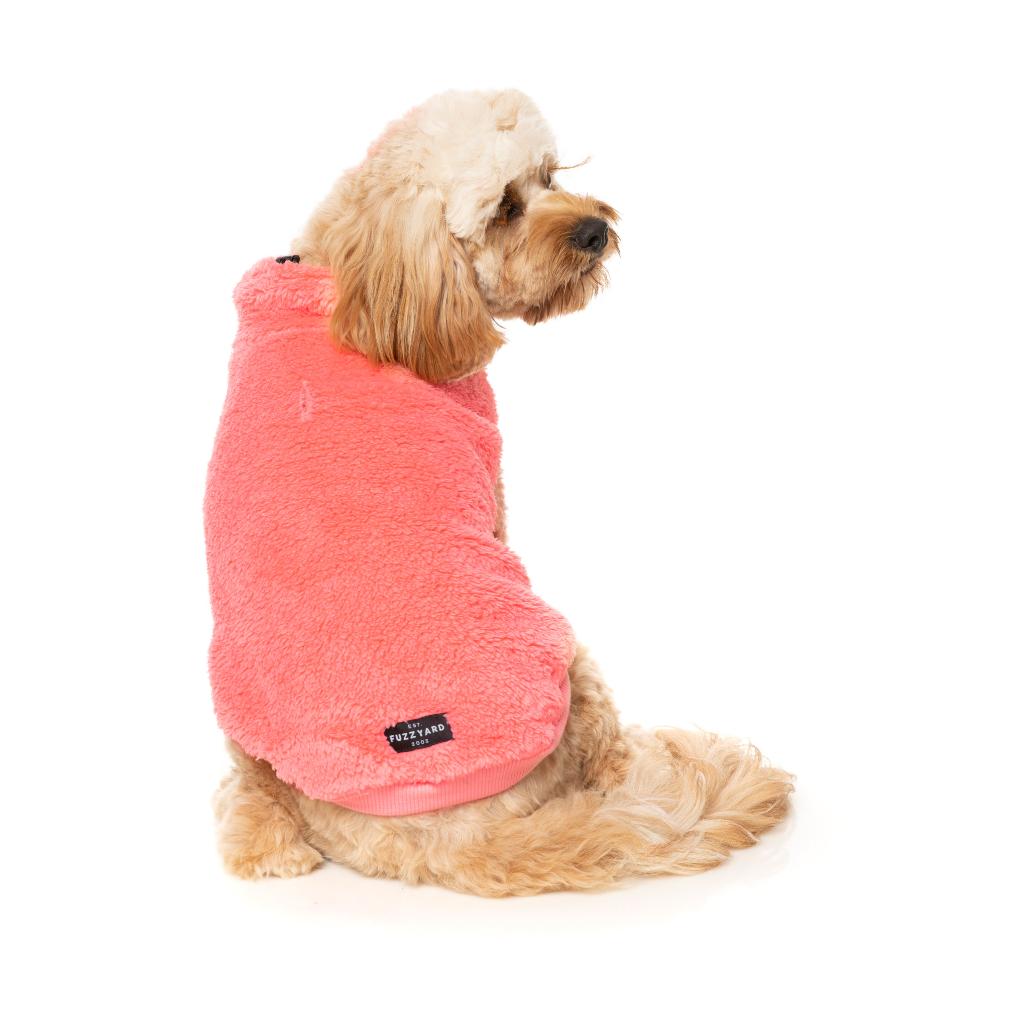 Tortue Teddy Pêche